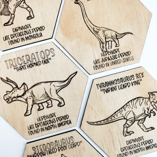 Dinosaur Fact's